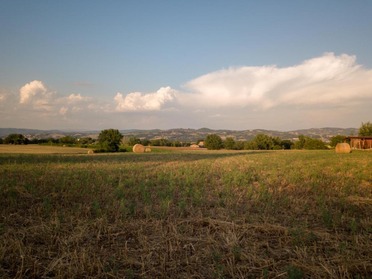 Agriturismo Consalvi Valentina Маршано Екстериор снимка