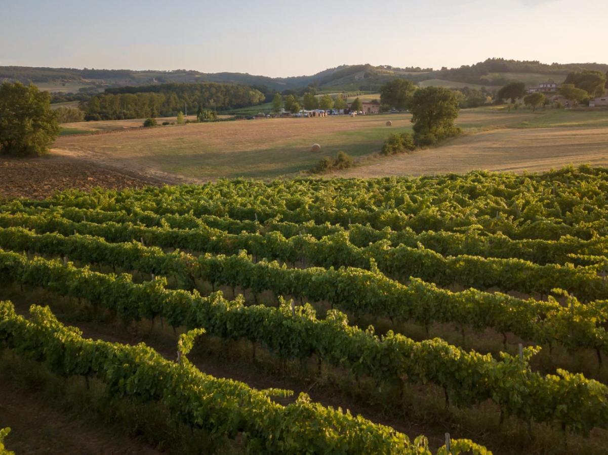 Agriturismo Consalvi Valentina Маршано Екстериор снимка