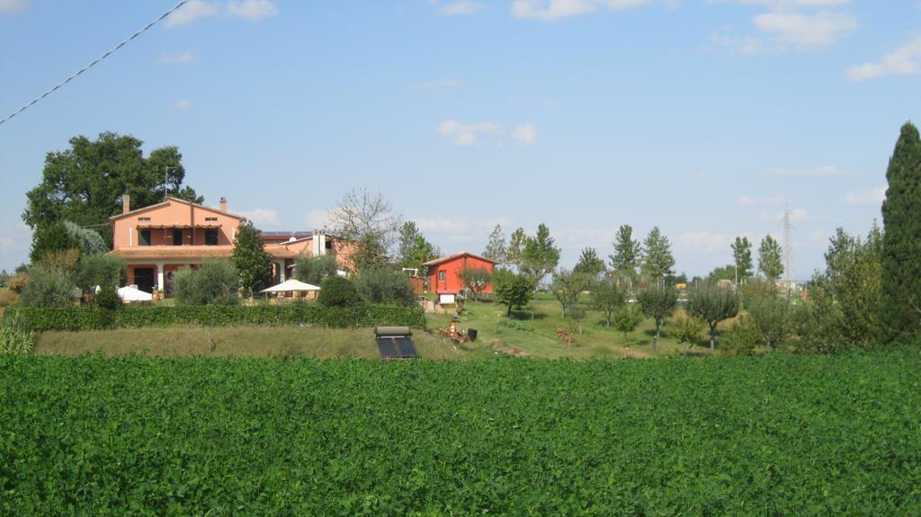 Agriturismo Consalvi Valentina Маршано Екстериор снимка
