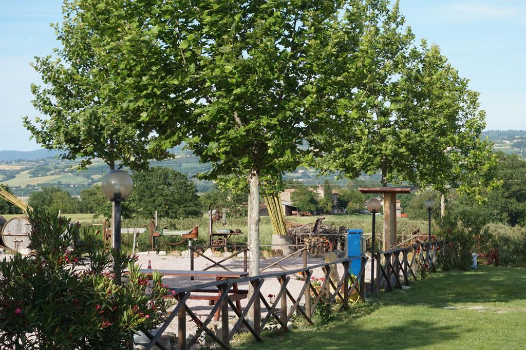 Agriturismo Consalvi Valentina Маршано Екстериор снимка