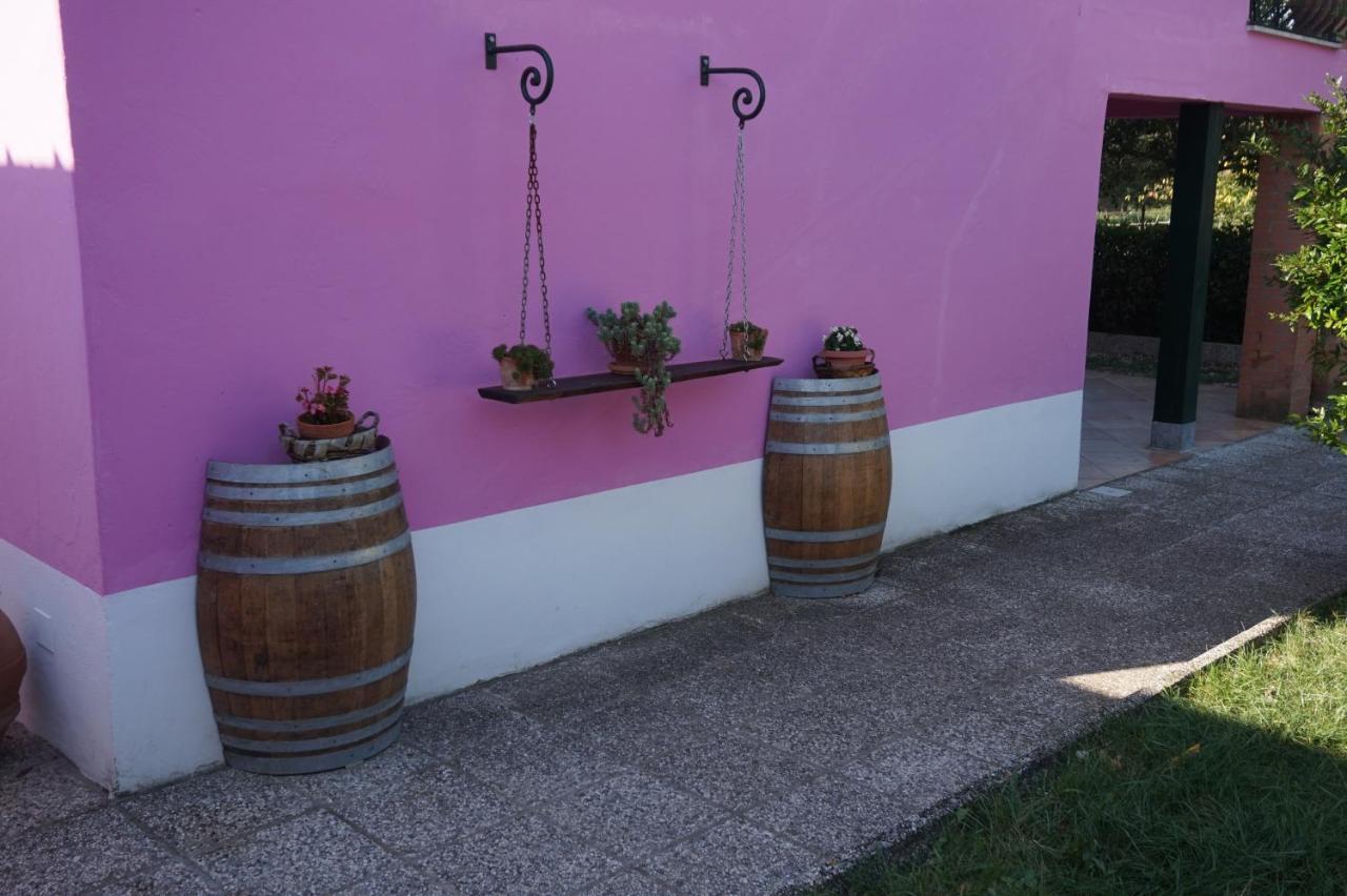 Agriturismo Consalvi Valentina Маршано Екстериор снимка
